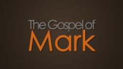 Mark 8:34-38, The Servant's Cost of Discipleship