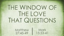The Window of The Love That Questions