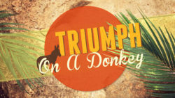 Luke 19:28-44, Triumph On A Donkey