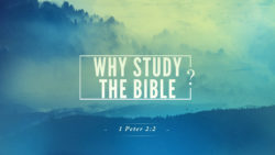 1 Peter 2:2, Why Study The Bible?